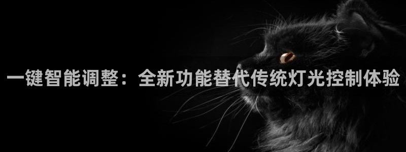 云顶国际黑网不出款怎么办