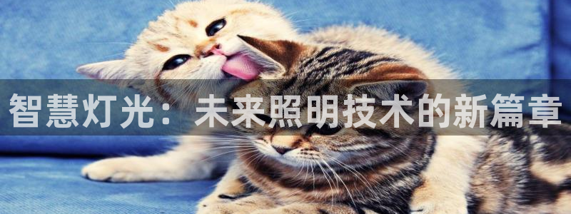 云顶国际服怎么下