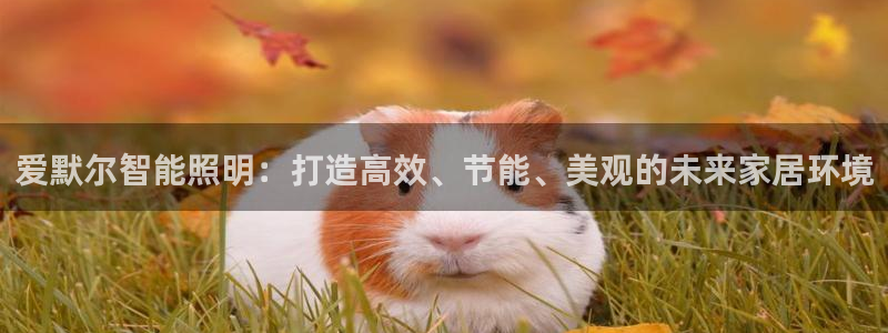 云顶集团招聘是真的吗：爱默尔智能照明：打