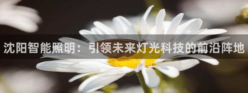 云顶集团官网电话客服：沈阳智能照明：引领