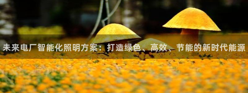 云顶电子游戏平台