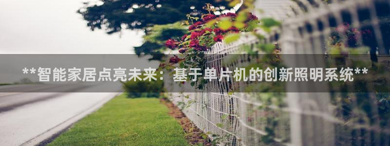 云顶国际服名字不可用