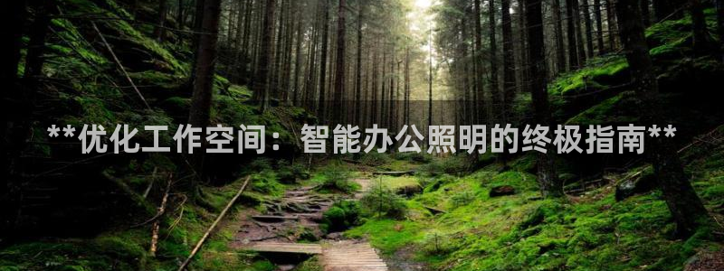 云顶国际是做什么的公司：**优化工作空间