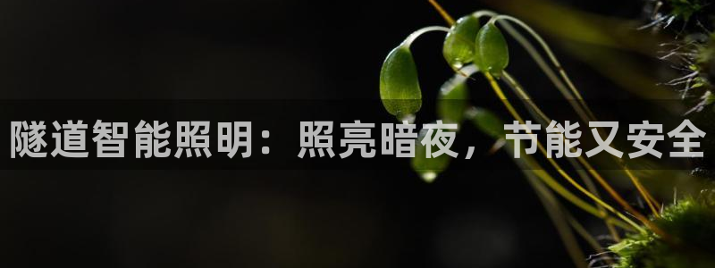 云顶国际集团游戏