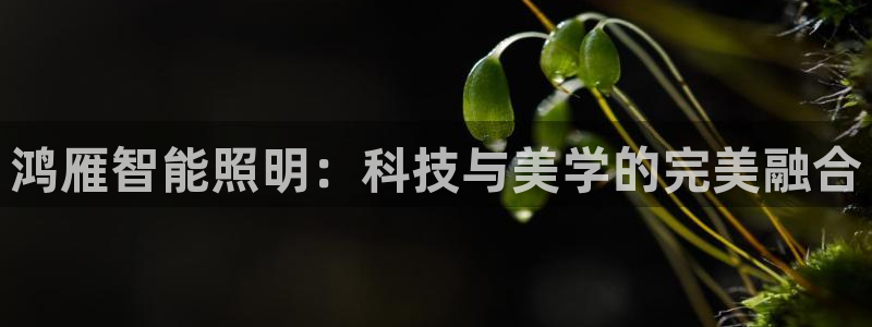 云顶国际服下面按键不灵敏