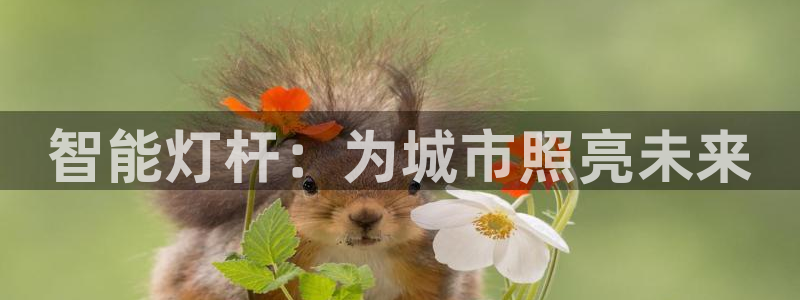 国际服端游云顶在哪下载