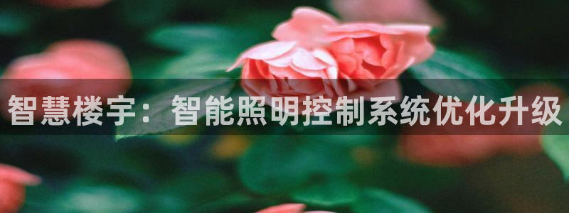 淮北云顶国际俱乐部招聘